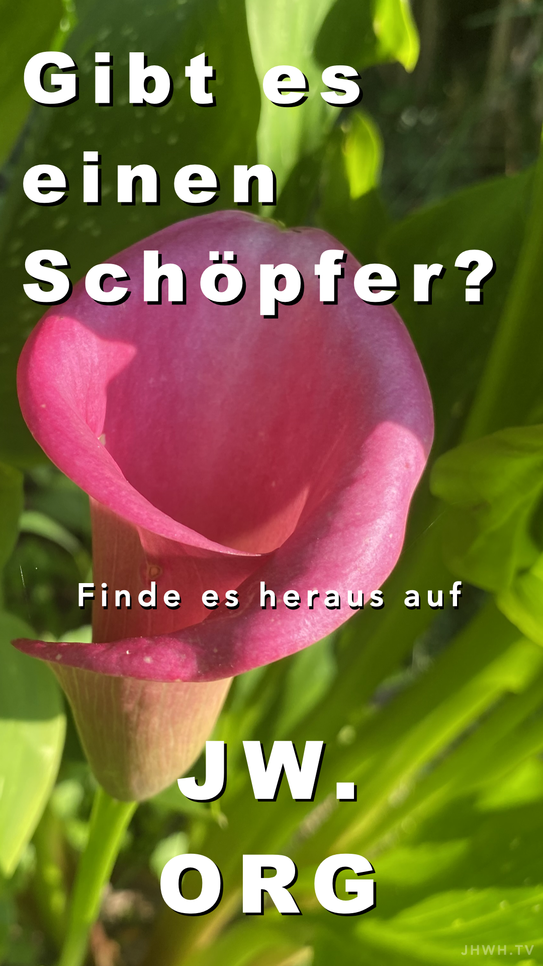 Gibt es einen Schöpfer?